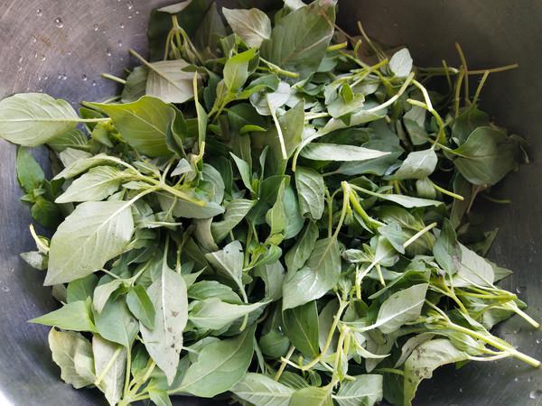 蒸荊芥的做法-家常味蒸菜譜