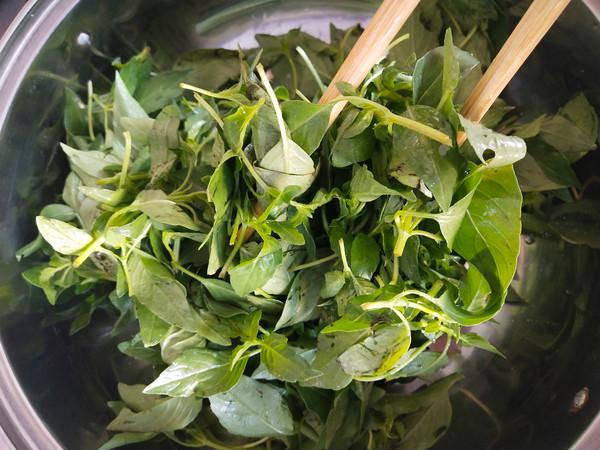 蒸荊芥的做法-家常味蒸菜譜