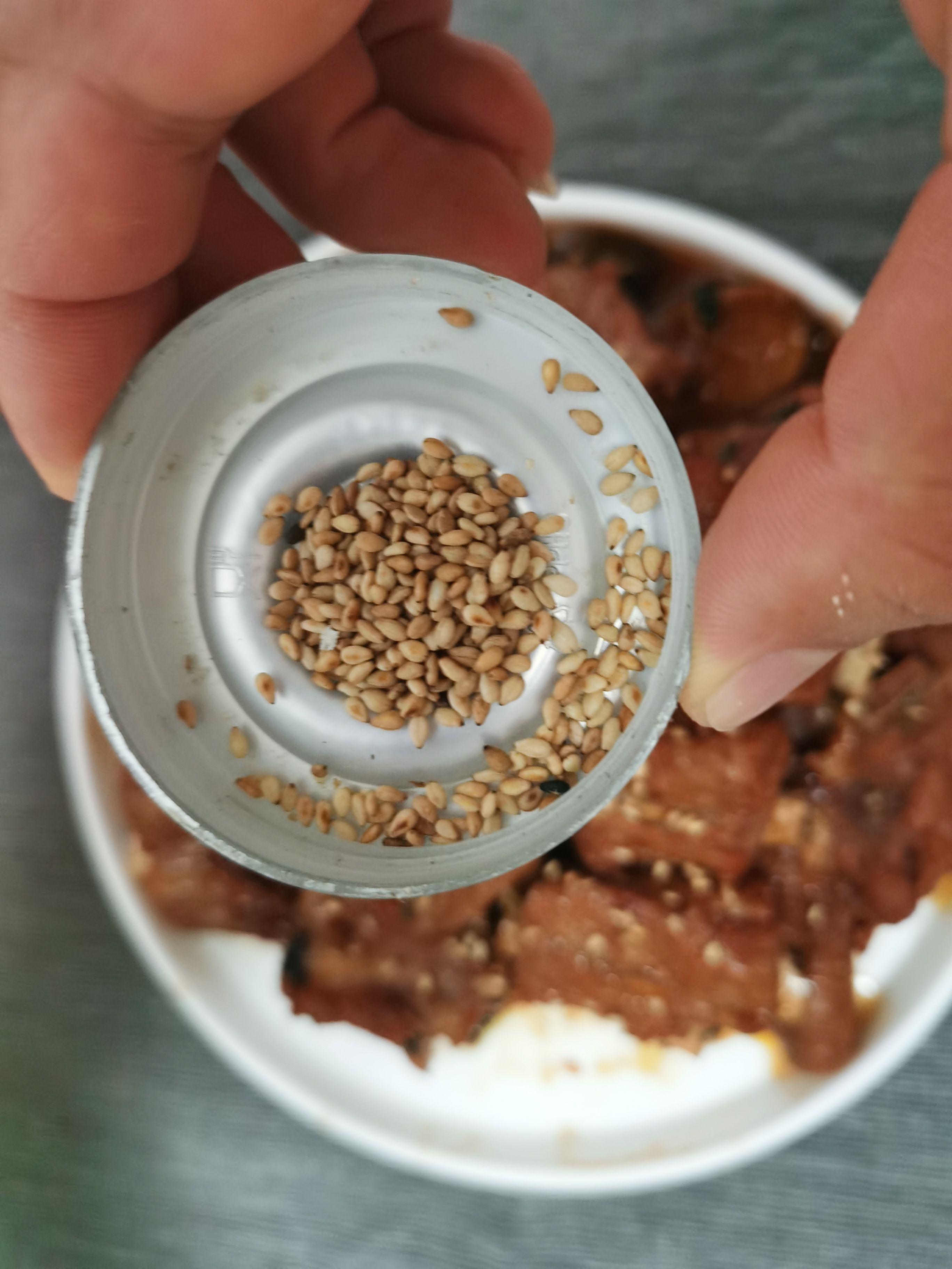 啤酒燒排骨的做法-家常味燉菜譜