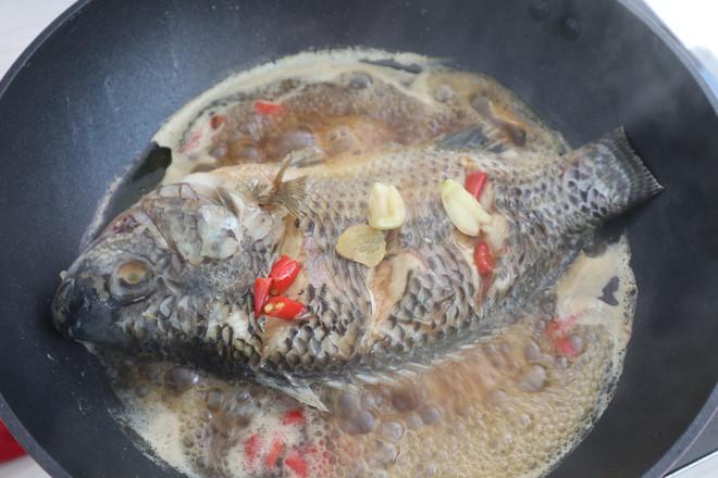 啤酒魚的做法-家常味煮菜譜