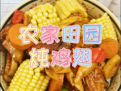 農家院田園燉雞翅的做法-家常味燉菜譜