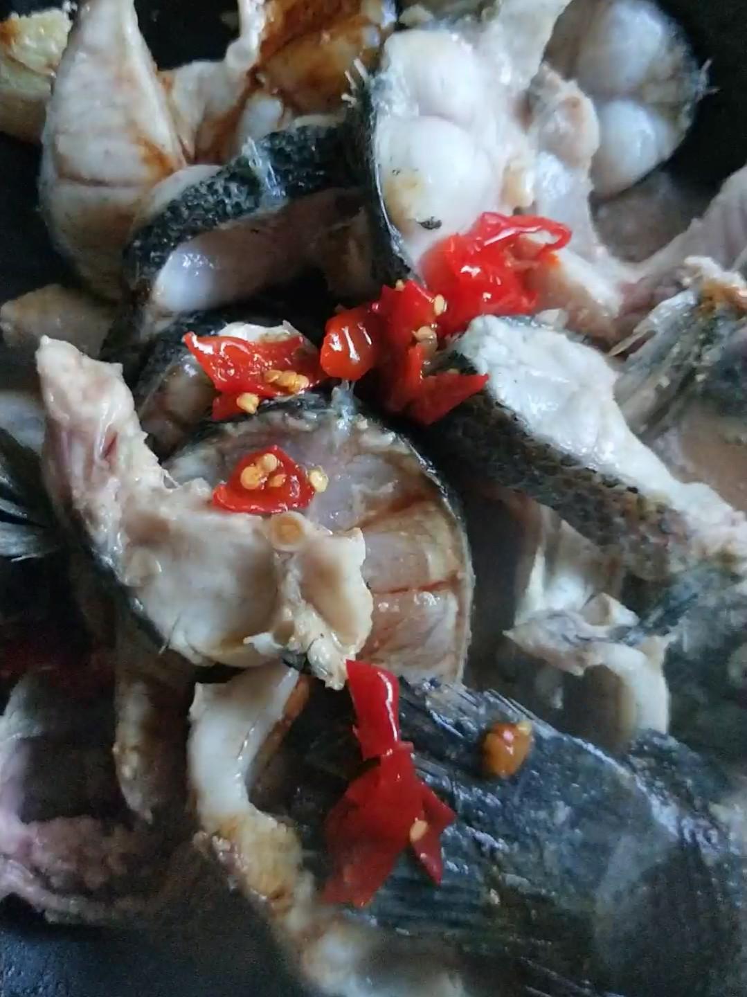 紅燒黑魚的做法-家常味燒菜譜