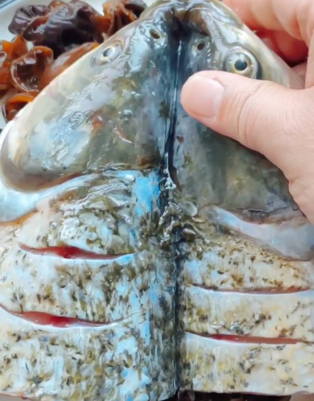 雙椒魚頭的做法-其它口味蒸菜譜