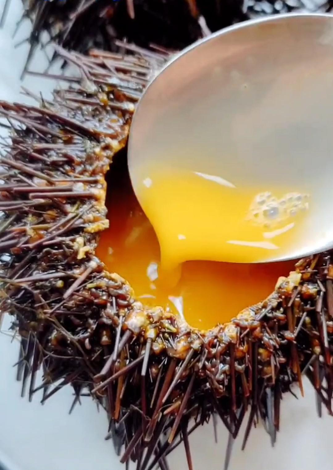 海膽蒸蛋的做法-其它口味蒸菜譜