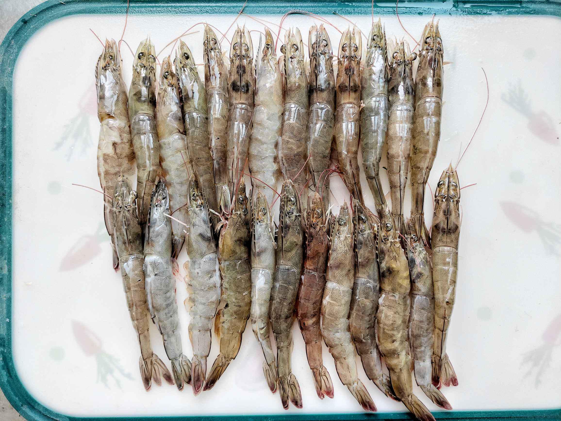 超好吃家常菜，香辣蝦美食菜譜的做法-香辣味炒菜譜