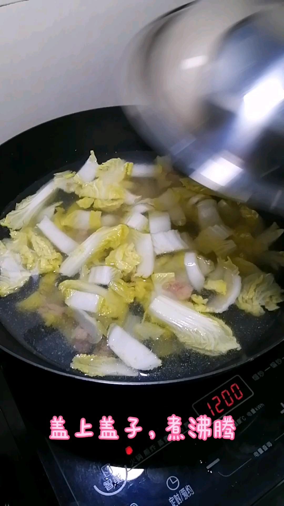 肉丁白菜燉粉條的做法-家常味燉菜譜