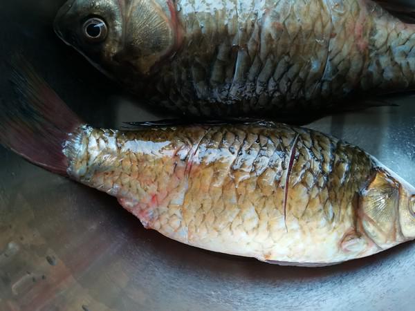 白蘿卜鯽魚湯的做法-咸鮮味燉菜譜