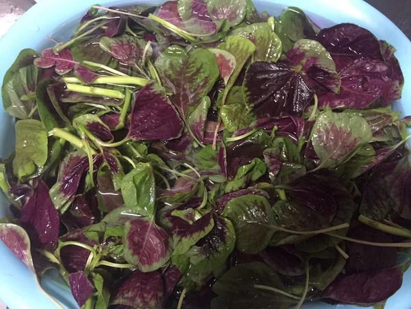 莧菜拌洋蔥的做法-家常味拌菜譜