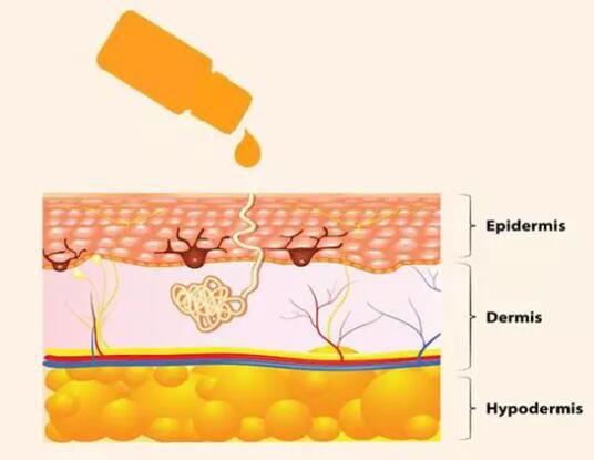  小顏還是主流!"臉大如盤"女生看這邊 