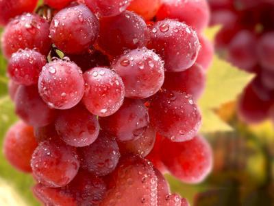 提子的功效與作用，美容護膚！