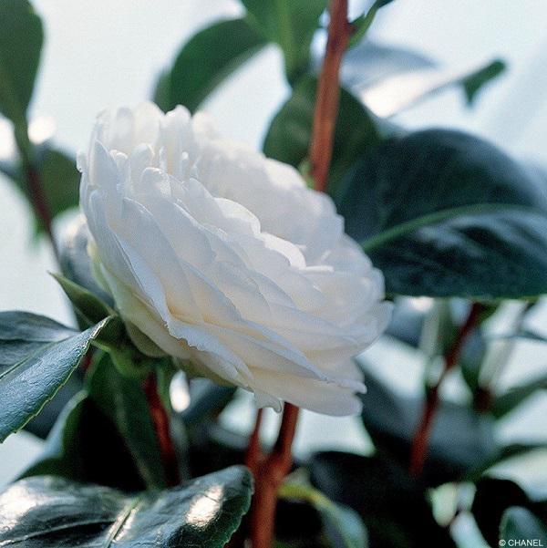 ​在夏日保濕乳液的重要性面前，價(jià)格真的不值一提！