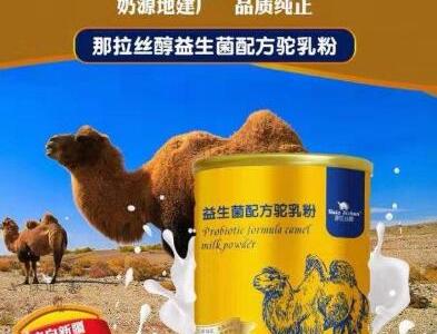 駱駝奶粉的功效和作用，保護皮膚濕潤！