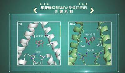 看清它的結(jié)構(gòu)，人類有望“完美”對(duì)抗抑郁
