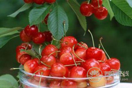 春季該怎樣給皮膚補水?