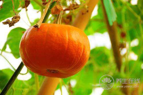 6種瓜果適合女性夏季吃