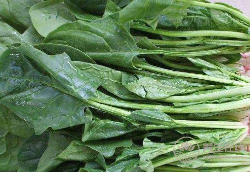 春季多吃這4種蔬菜，能補(bǔ)氣血，面色紅潤(rùn)