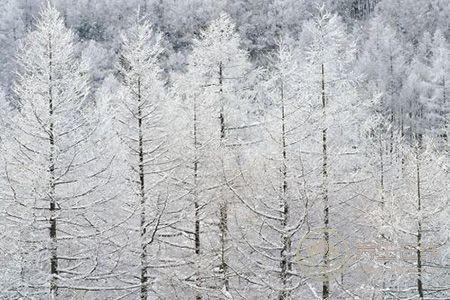 大雪節氣調理身體非常重要 大雪節氣調理身體非常重要