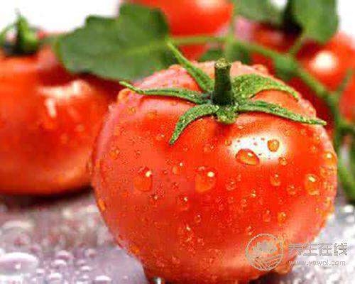 上火了別吃藥，吃它也能降火