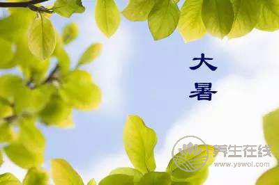 大暑時節，家庭消暑必知的中藥涼茶配方