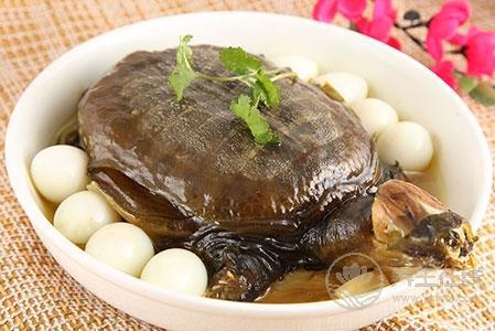 清燉甲魚湯的做法  讓身體溫暖整個冬天