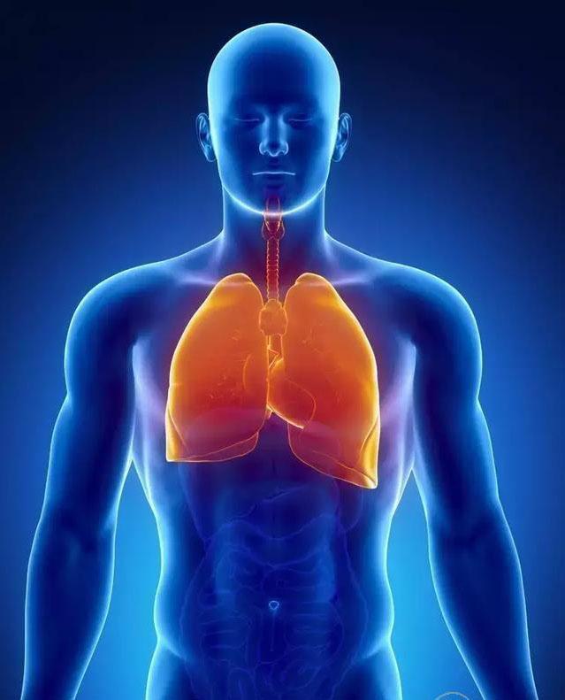 夏天是“養肺黃金期”，做到這4招，一年不得肺??！