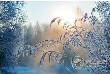 冬至的歷史淵源是什么？