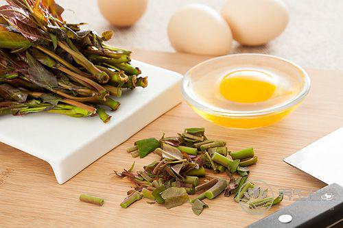 春天養肝多吃發芽蔬菜，3原則養肝