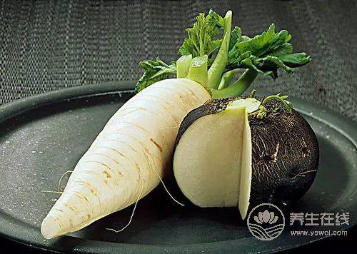 秋季吃白蘿卜好，能治咽喉炎治頭痛治凍瘡