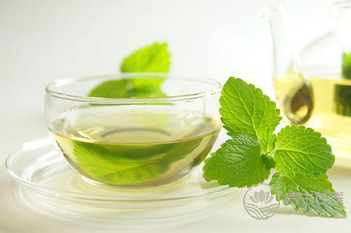 春飲花茶養生美容 推薦5款最受歡迎花草茶