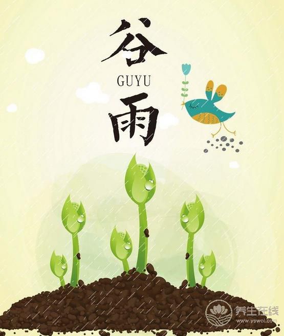 谷雨時節(jié),谷雨如何養(yǎng)生 谷雨時節(jié),谷雨如何養(yǎng)生