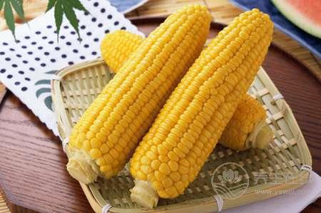 當秋養生吃玉米