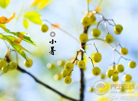 2019年什么時(shí)候小暑 小暑時(shí)間幾點(diǎn)幾分
