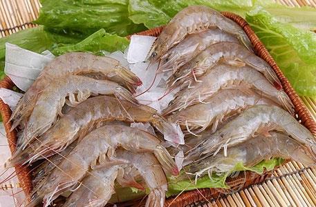 秋冬季吃什么海鮮好 八種海鮮美味營養(yǎng)