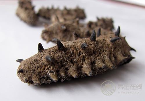 秋冬季吃什么海鮮好 八種海鮮美味營養(yǎng)