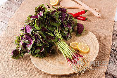 夏日減肥，時令蔬菜來助攻