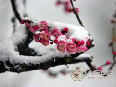 大雪節(jié)氣養(yǎng)生該注意什么？