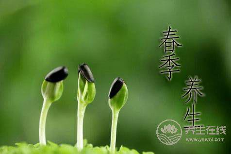 春季養陽 飲食宜忌需清楚 春季養陽 飲食宜忌需清楚