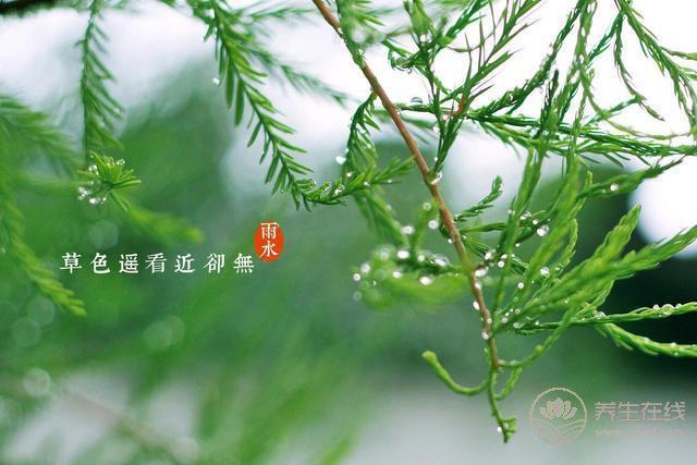 雨水——好雨知時節(jié), 當春乃生發(fā)