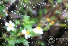 千寒易除，一濕難去，夏天祛濕怎么做？