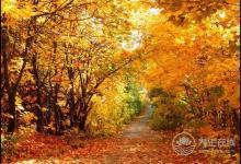 如何預防秋季抑郁癥的發生