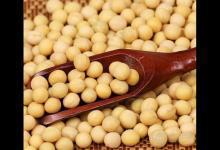 霜降后，養生吃這5種食物最合適