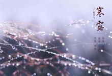 秋冬季節(jié)養(yǎng)生就吃它，2塊1斤滋補(bǔ)賽人參