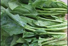 春季多吃這4種蔬菜，能補氣血，面色紅潤