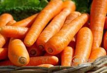 冬天手腳冷吃什么食物好?