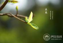 谷雨時節(jié)，谷雨如何養(yǎng)生