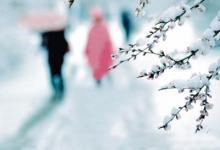 小雪節氣后適合吃溫潤益腎的食物