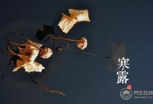 2018寒露時間_寒露是什么時候_吃什么養生_寒露習俗