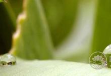 春夏交替，養生飲食需要注意什么？