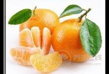 秋天五種養生水果推薦