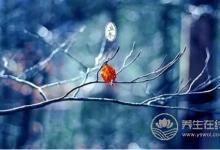 24節氣立冬的來歷是什么？立冬養生吃什么？